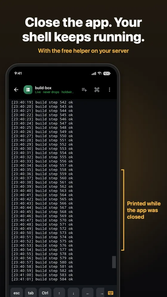 Holdwire store screenshot in English