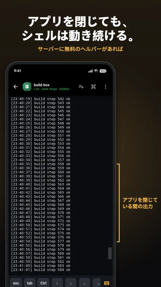 Holdwire store screenshot in Japanese